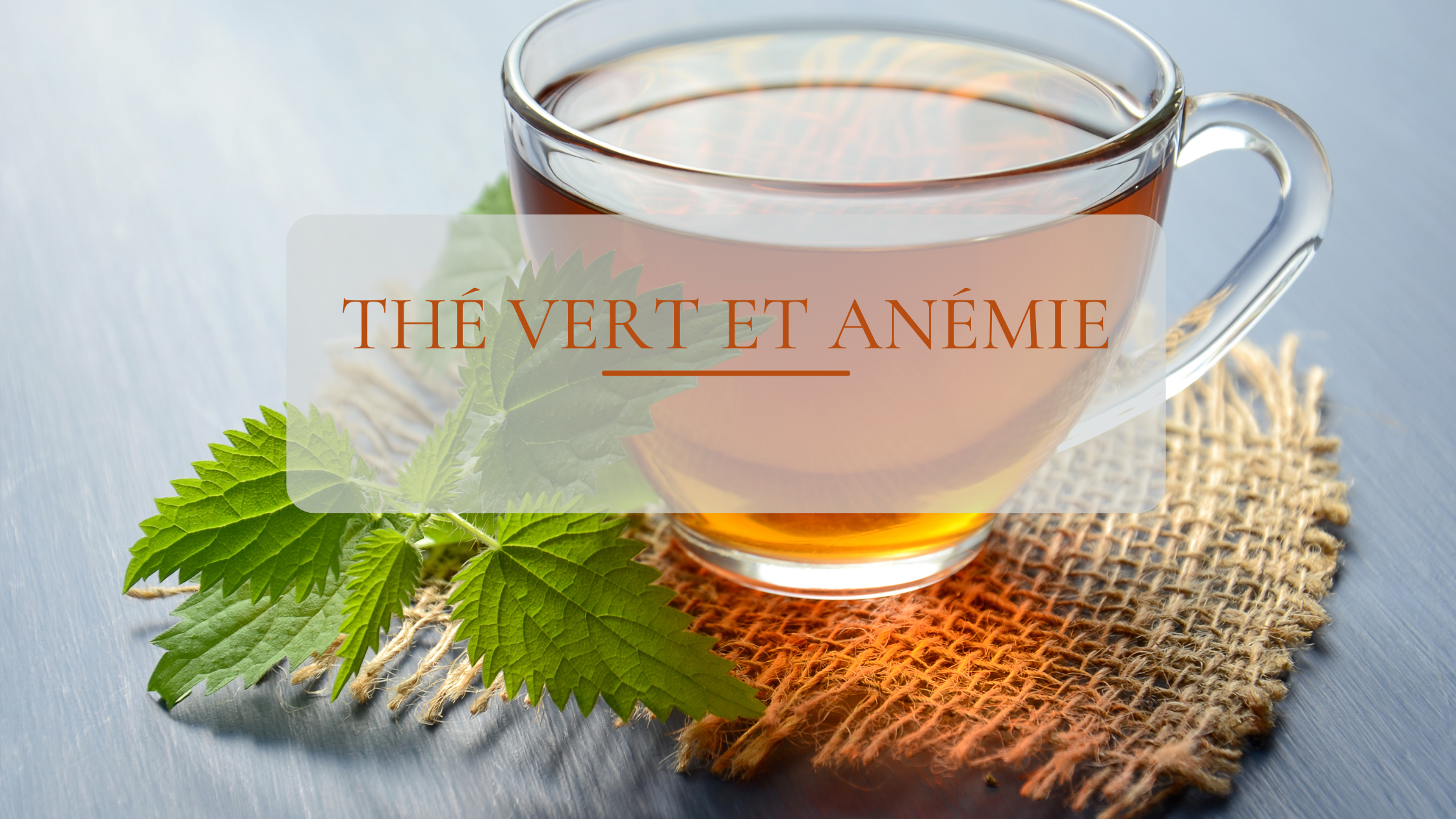 Le thé vert et l’anémie : ce que vous devez vraiment savoir