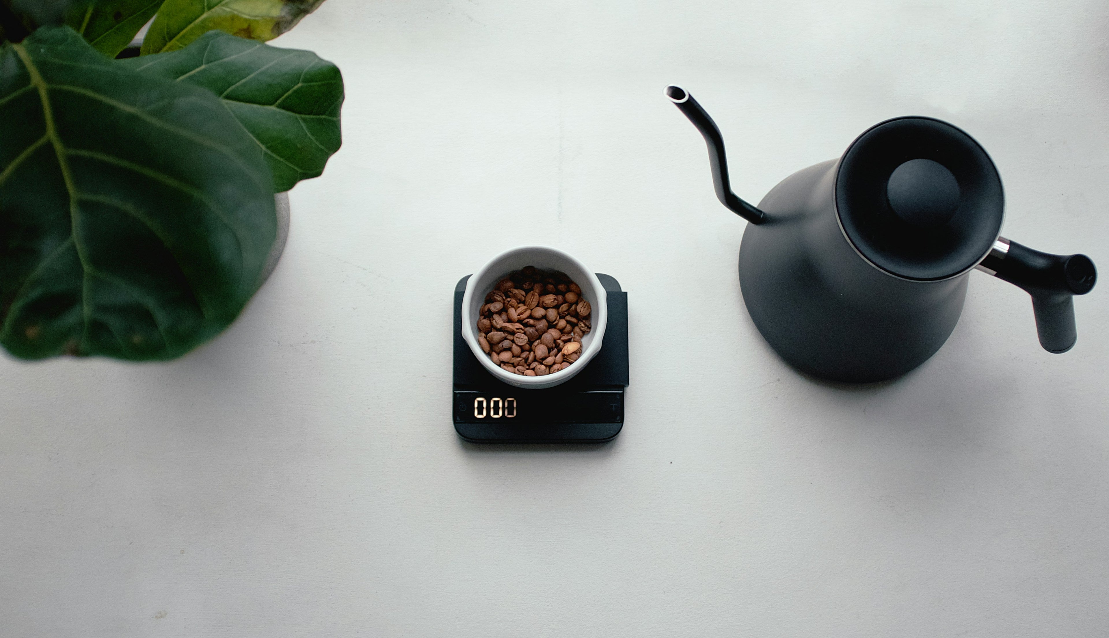 Café de spécialité en ligne : tout ce que vous devez savoir avant d'acheter